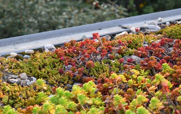 the cost of Cowlow green roof installation